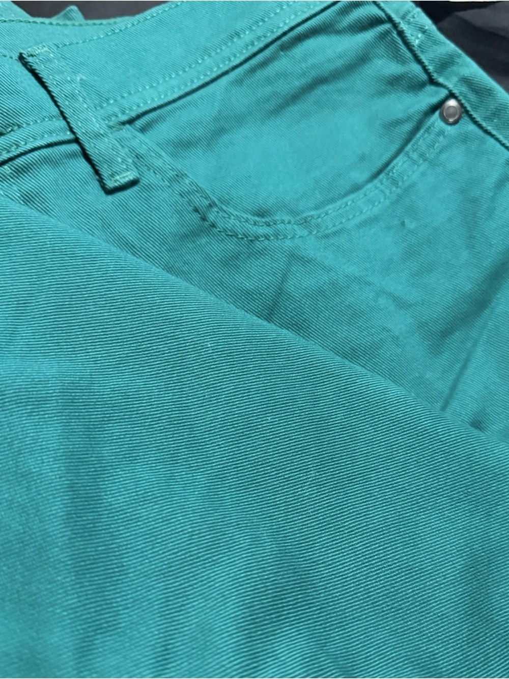 Lee Classic Fit Teal Green Pants - Picture 9 of 10